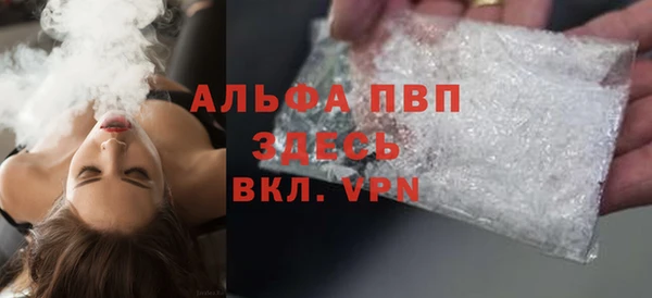 спиды Белокуриха