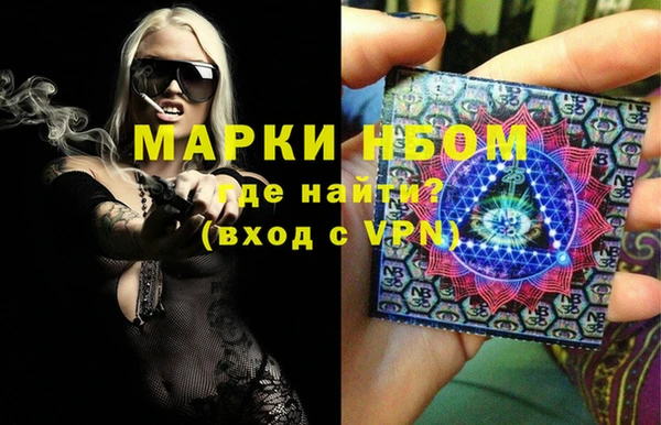 индика Зеленокумск