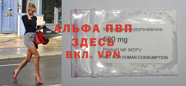 спиды Белокуриха