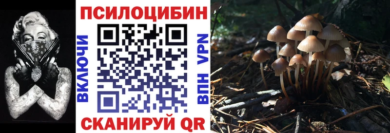 Галлюциногенные грибы MAGIC MUSHROOMS  даркнет сайт  Заречный 